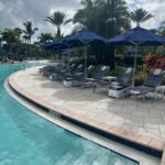 LounGenie unit inside VIP pool cabana